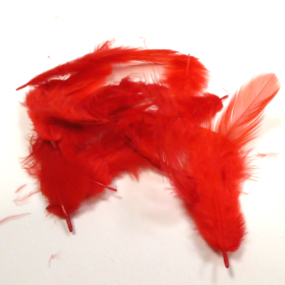 AR plumes 8-12 cm rouges