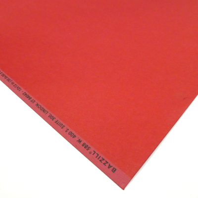 Feuilles Scrapbooking Papiers Bazzill 30 x 30 cm Divers Coloris