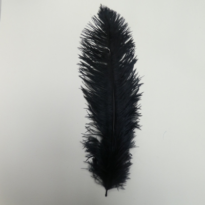 Plumes d'autruche RAYHER